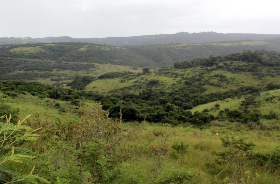 Commercial Property for Sale in East London Rural Eastern Cape